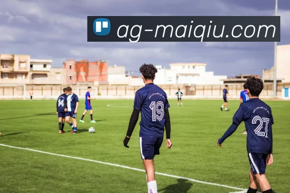 多媒体互动体验